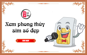 Những Điều Cần Biết Khi Theo Dõi Blog Tử Vi